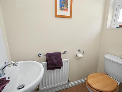 Picture 7